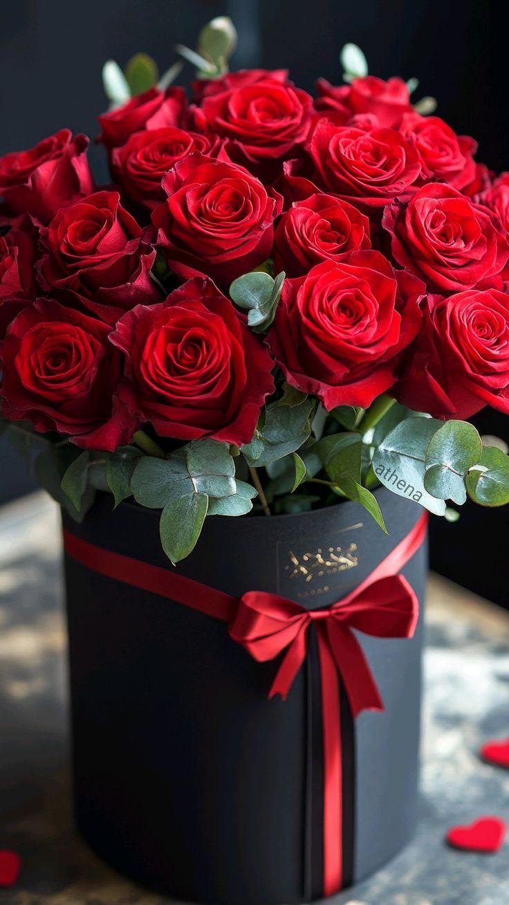 Midnight Velvet Rose Embrace Bundle